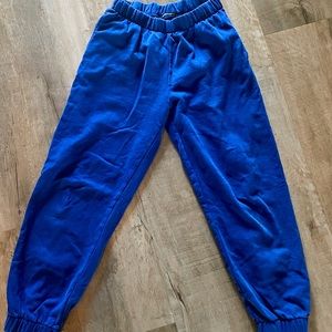blue brandy melville sweatpants